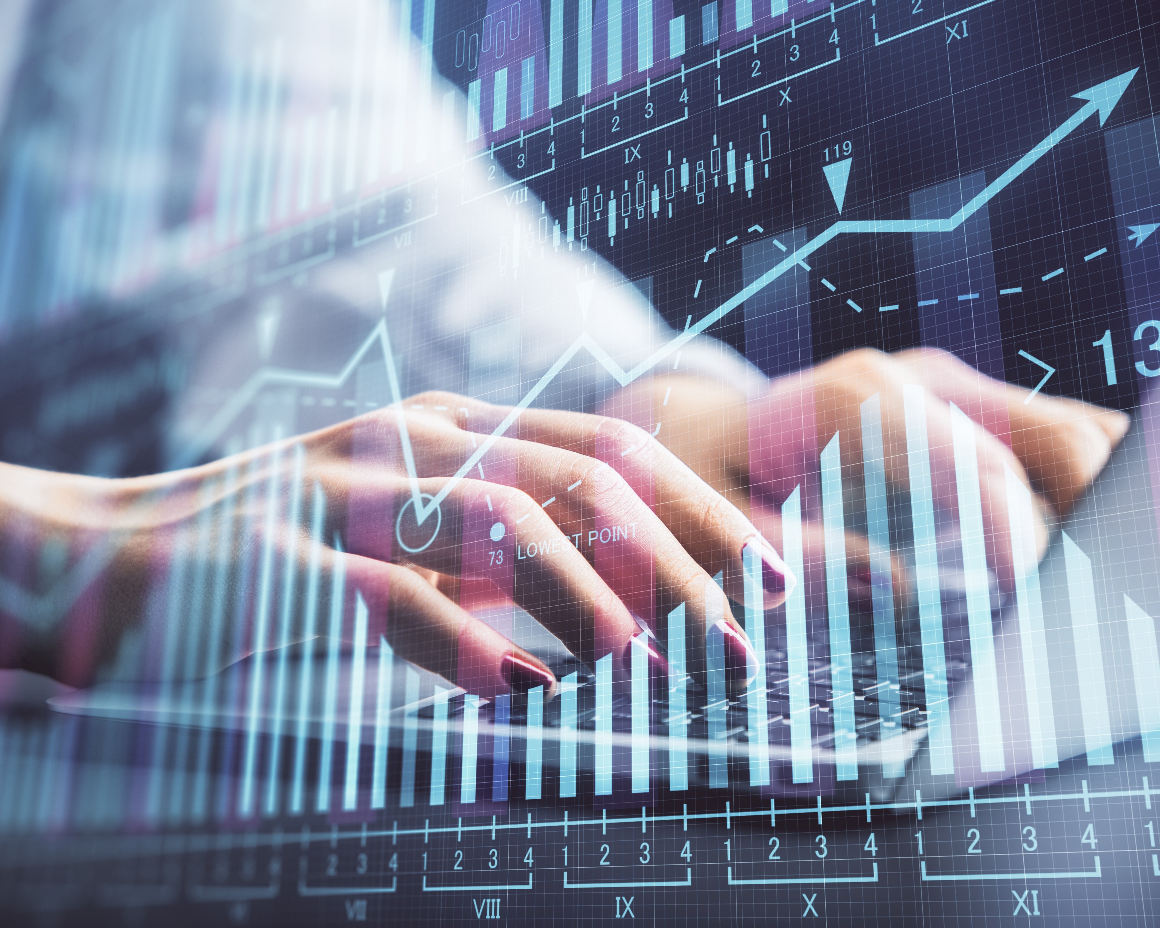 Conseil en Management